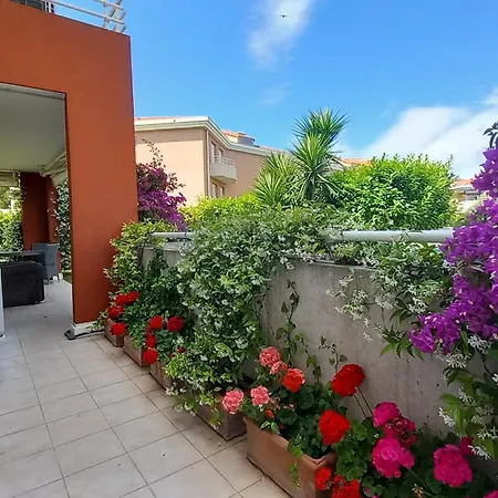 Juan Flore Αντίμπ